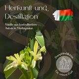 Ätherisches Vanilleöl 5