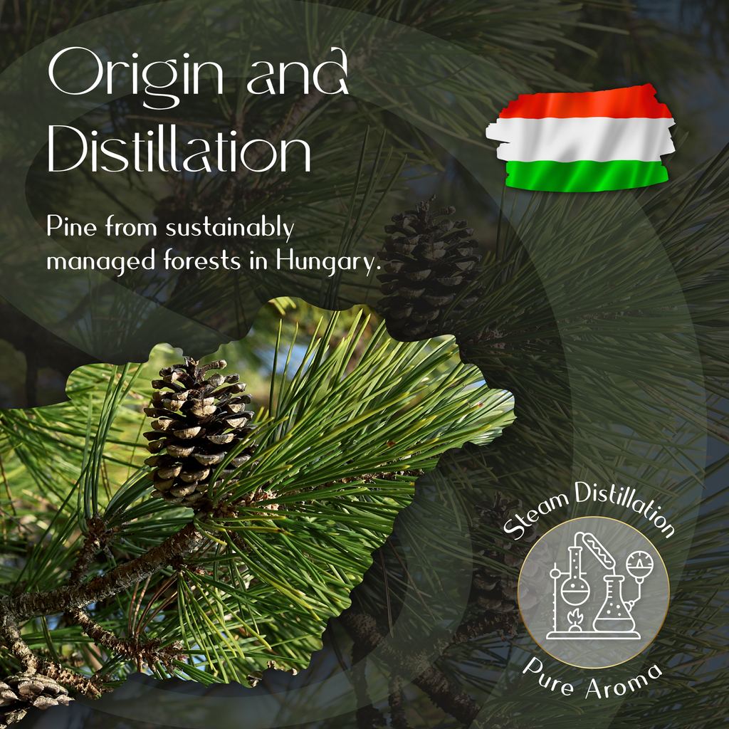 Pine Essential Oil