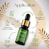 Basil Essential Oil 6