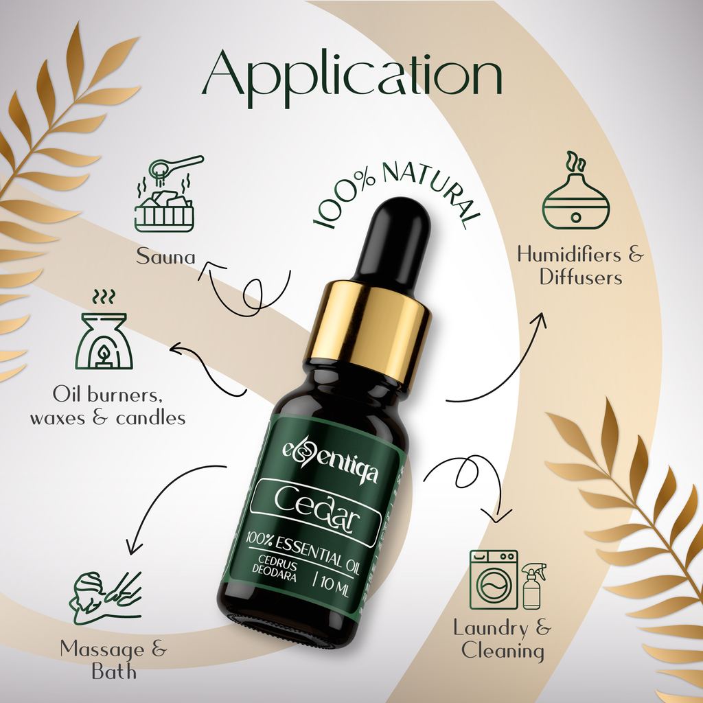 Cedar Essential Oil