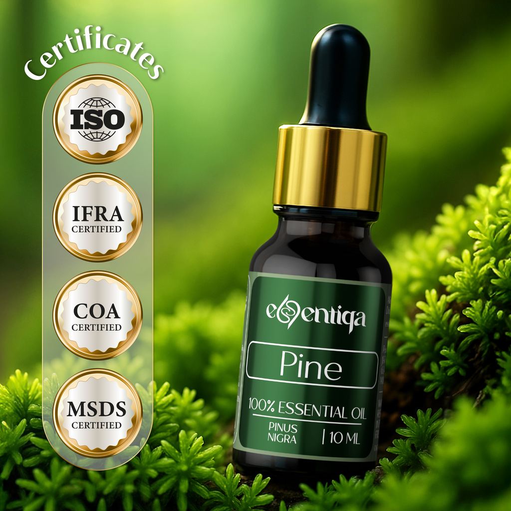 Pine Essential Oil