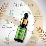Melissa Essential Oil 6