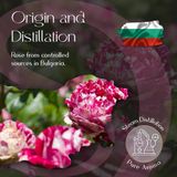 Rose Essential Oil 5