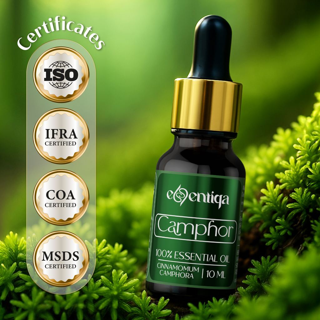 Camphor Essential Oil