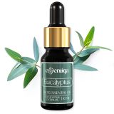 Eucalyptus Essential Oil 1