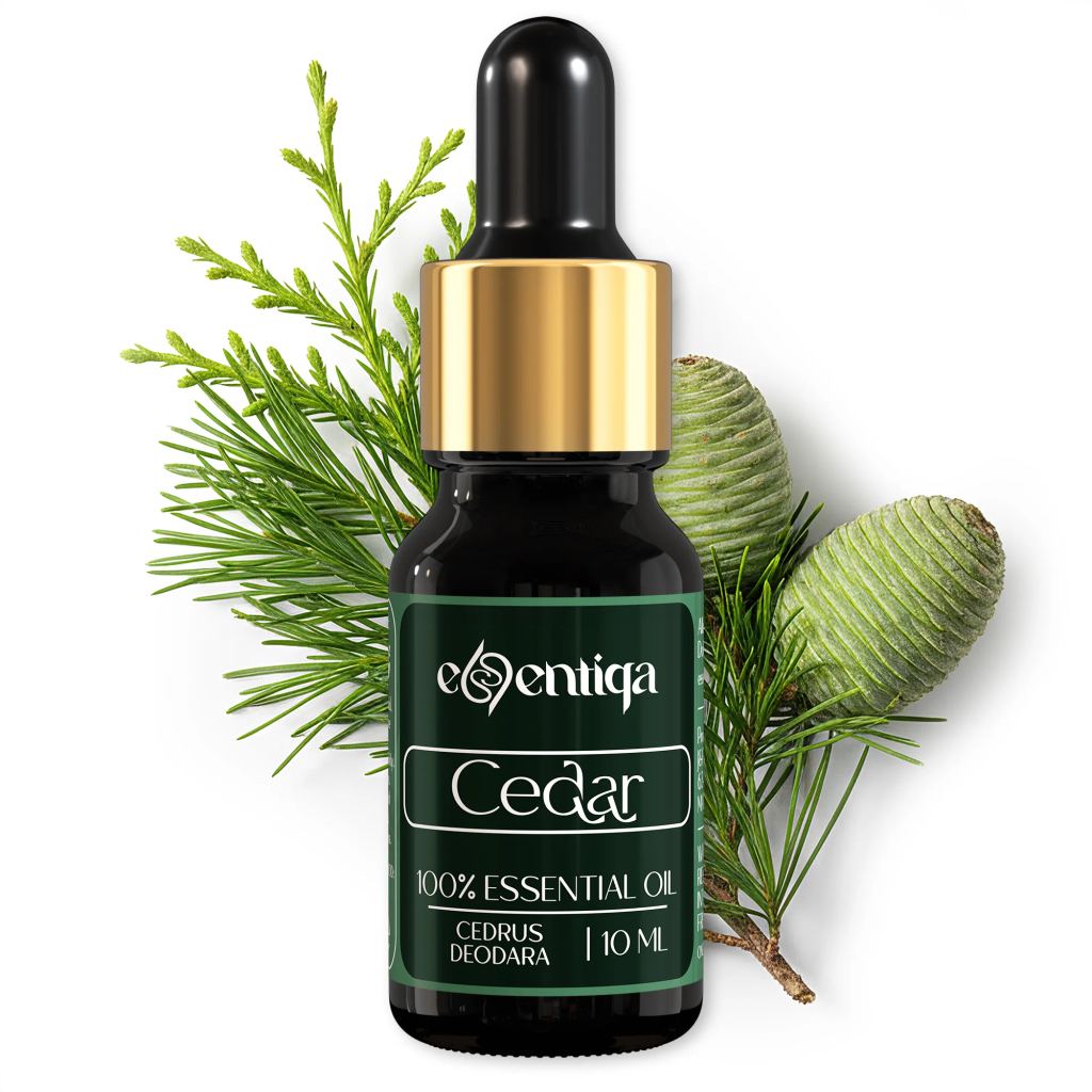 Cedar Essential Oil