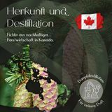 Ätherisches Fichtenöl 5