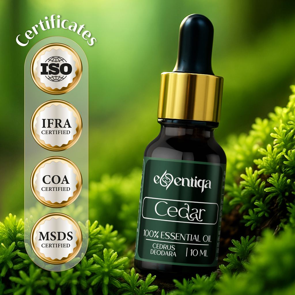 Cedar Essential Oil