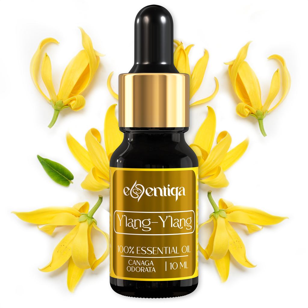 Ätherisches Ylang-Ylang-Öl