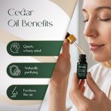Cedar Essential Oil 3