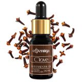 Clove Essential Oil 1