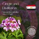 Geranium Essential Oil 5