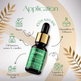Thyme Essential Oil 6