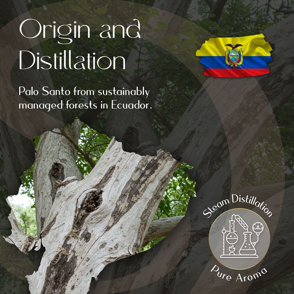 Palo Santo Essential Oil