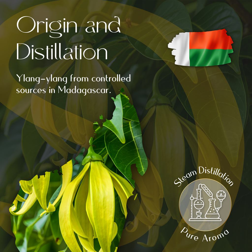 Ylang Ylang Essential Oil