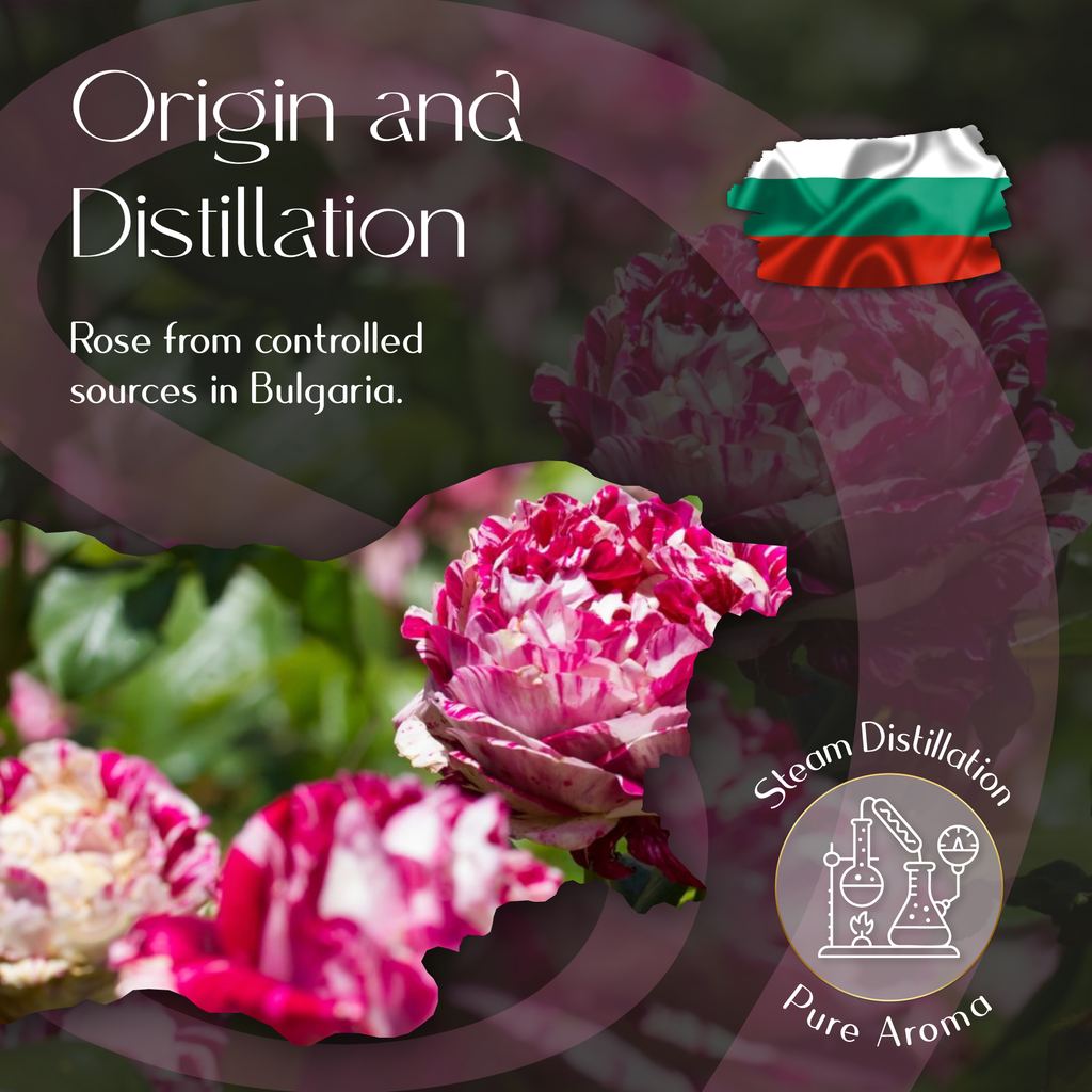 Rose Essential Oil