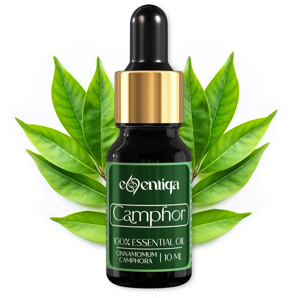 Camphor Essential Oil