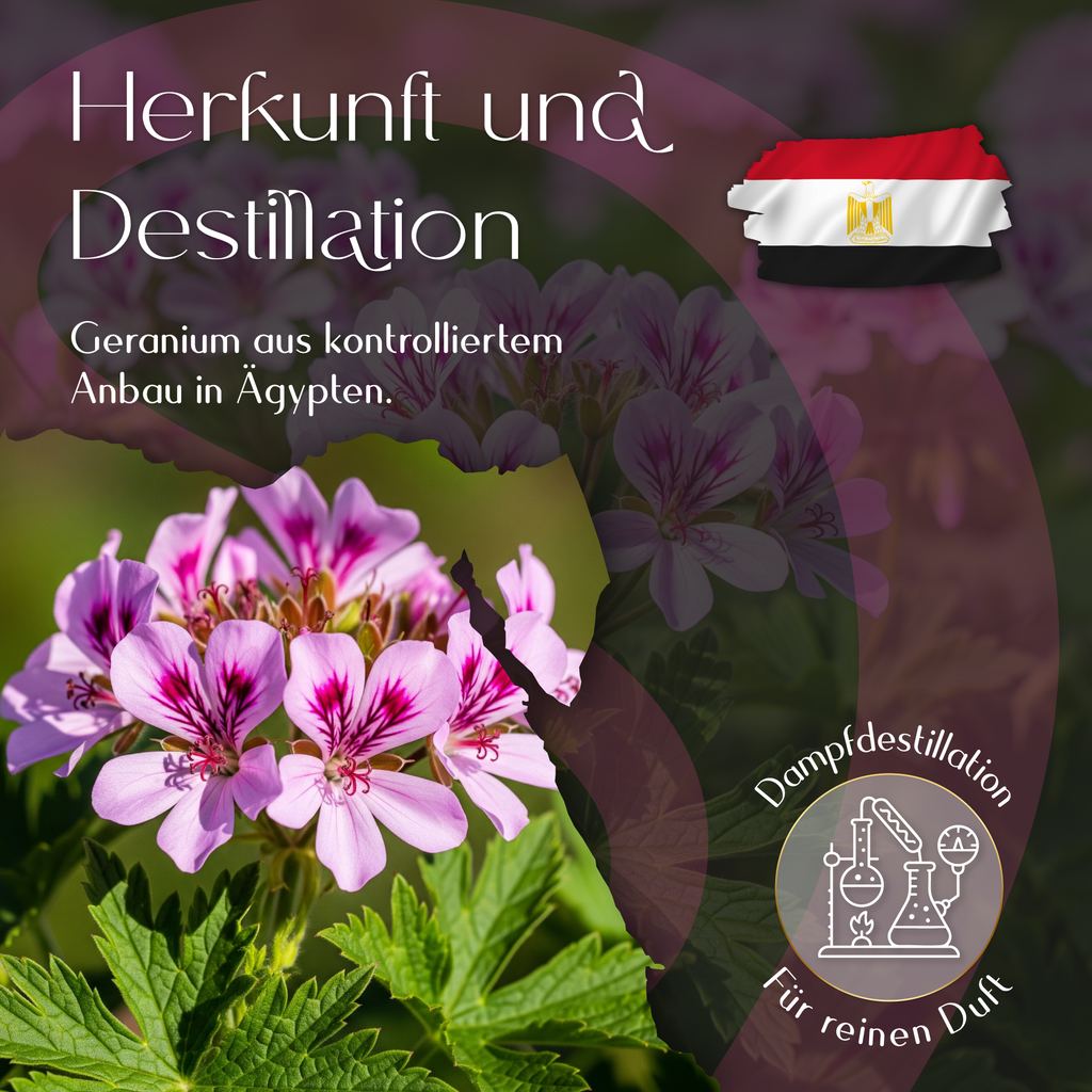 Ätherisches Geranienöl