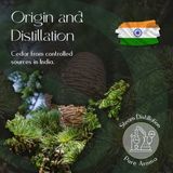 Cedar Essential Oil 5