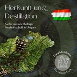 Ätherisches Kiefernöl 5