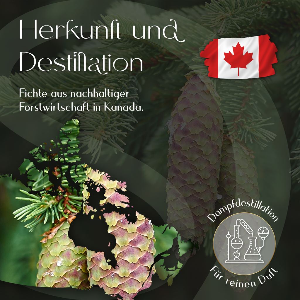 Ätherisches Fichtenöl