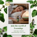 Melissa Essential Oil 7