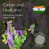 Patchouli Essential Oil 5