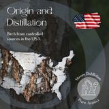 Birch Essential Oil 5