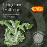 Sage Essential Oil 5