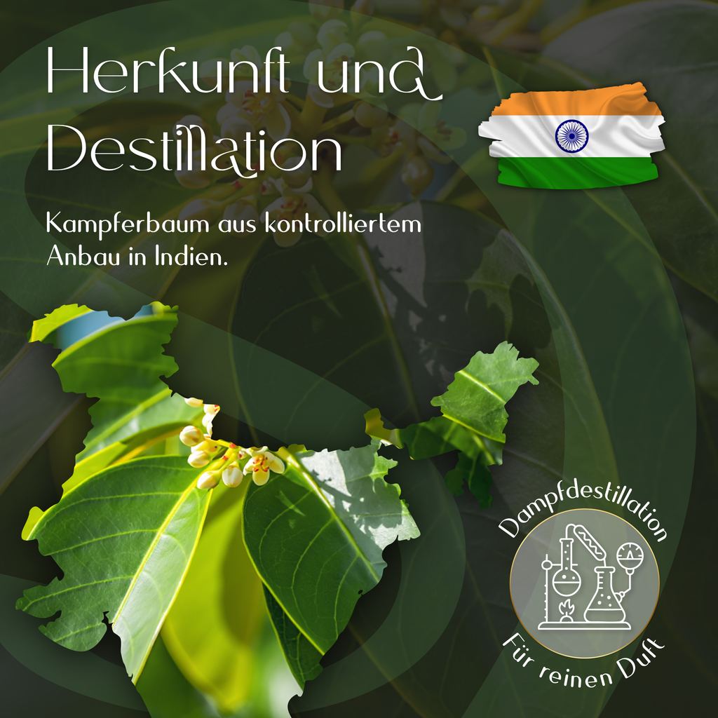 Ätherisches Kampferöl