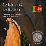 Cinnamon Essential Oil 5